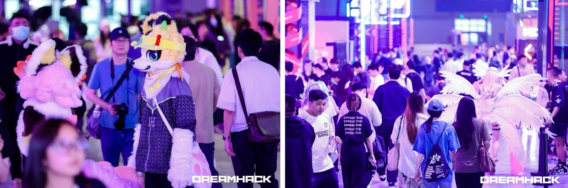 锦江国际携手英雄亚冠ACL  DreamHack创新顶级电竞观赛体验电竞竞猜(图2)